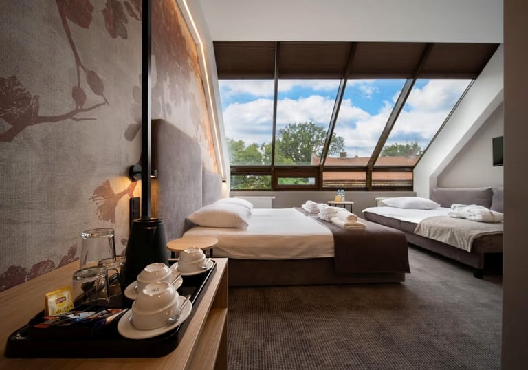 3⭐️ Alexander Hotel