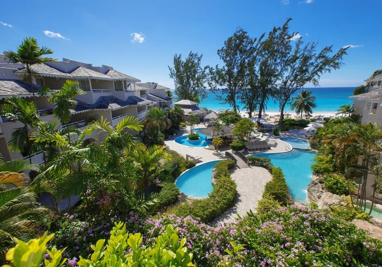 4⭐️ Bougainvillea Barbados