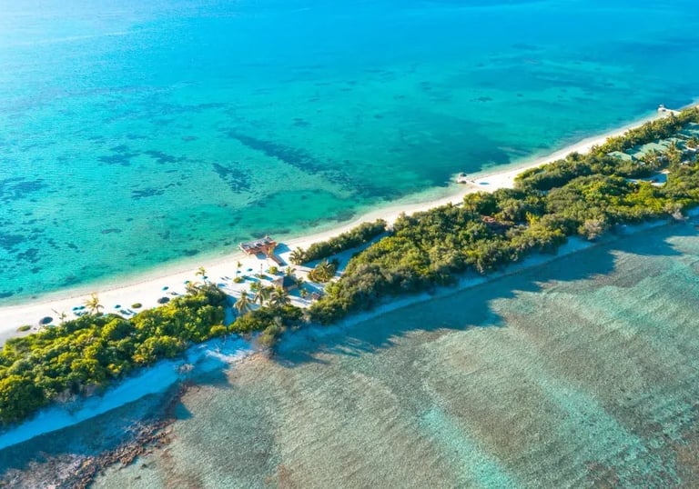 4⭐️ Canareef Resort Maldives