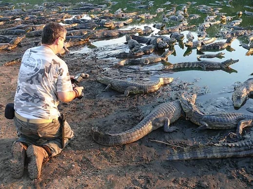 Wildlife at Brazilian Northern Pantanal