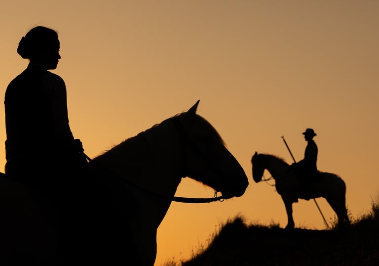 Silhouette of a woman and man riding horses at sunset against an orange sky.