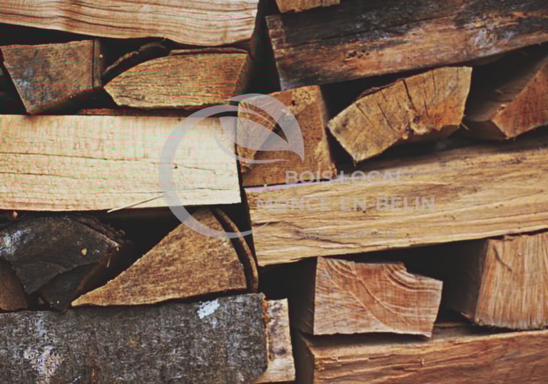 vue en gros plan de buches