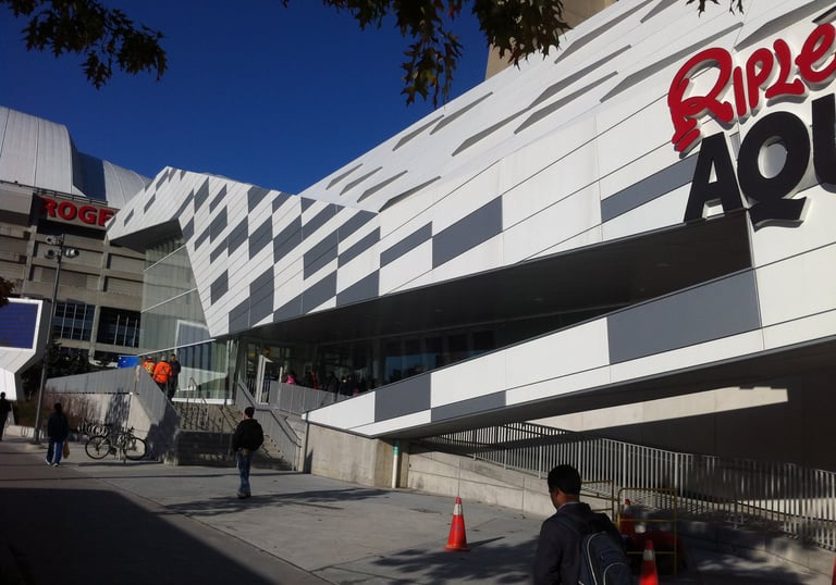 Cladding on the front of Ripley's Aquarium, by Pengelly Iron Works