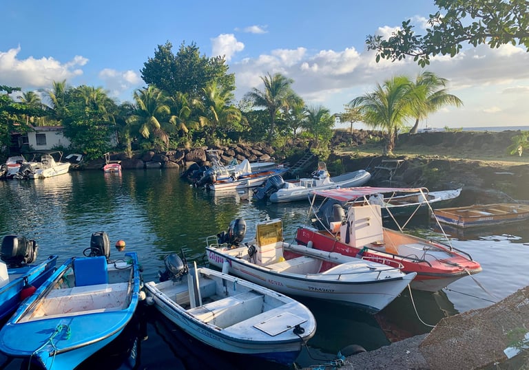 A group of boats docked at a dock in Bouillante in Guadeloupe