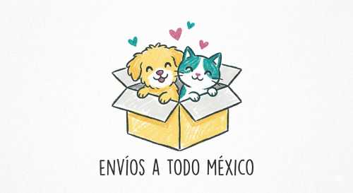 Un perrito y un gatito saliendo de una caja