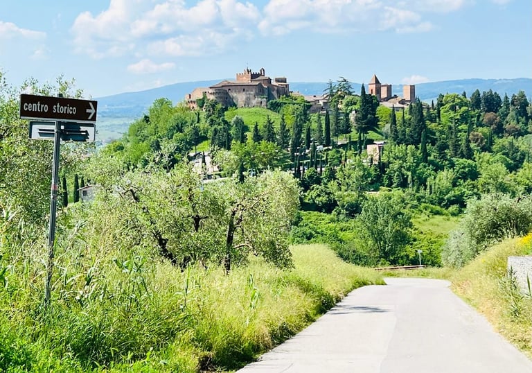 Scenic rural road leading to the historic hilltop village of Certaldo Alto in the Tuscan countryside, Italy