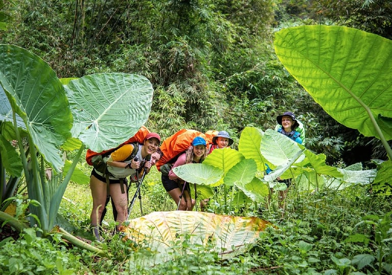 Bukit Lawang Trekking