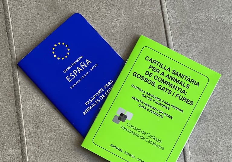 Microchip y pasaporte para perros y gatos a domicilio