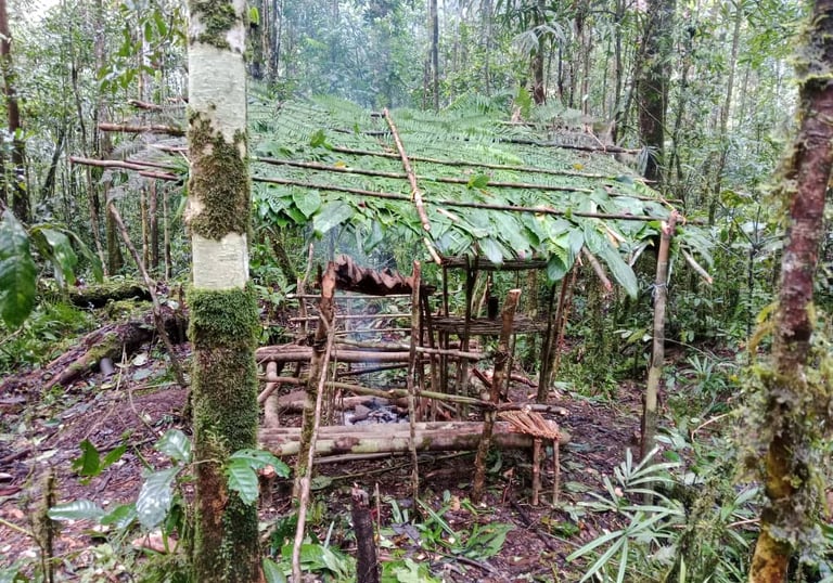 Jungle survival camp in Borneo. rainforest featuring a traditional shelter made from forest material