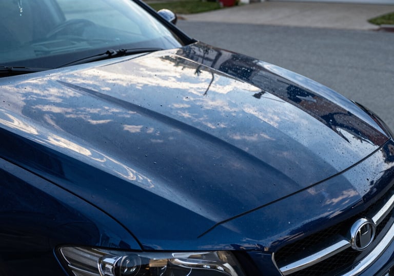 A close-up of a glossy, freshly washed car reflecting a clear blue sky in a North American / US driveway. Water beads sit perfectly on the hood. Colors: Steel Blue and Dark Navy Blue.