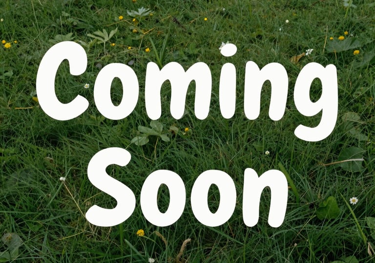 A neatly arranged flat lay of practical home gifts on a soft sand background.