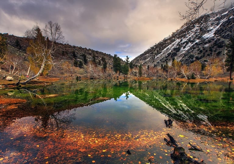 domestic tour packages pakistan