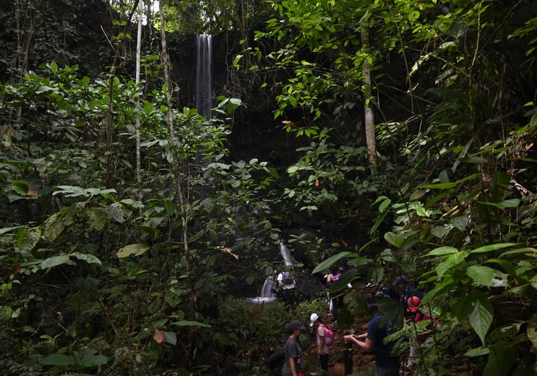 Hikers walking through a lush tropical rainforest toward a tall, thin waterfall cascading down a dark rock face.