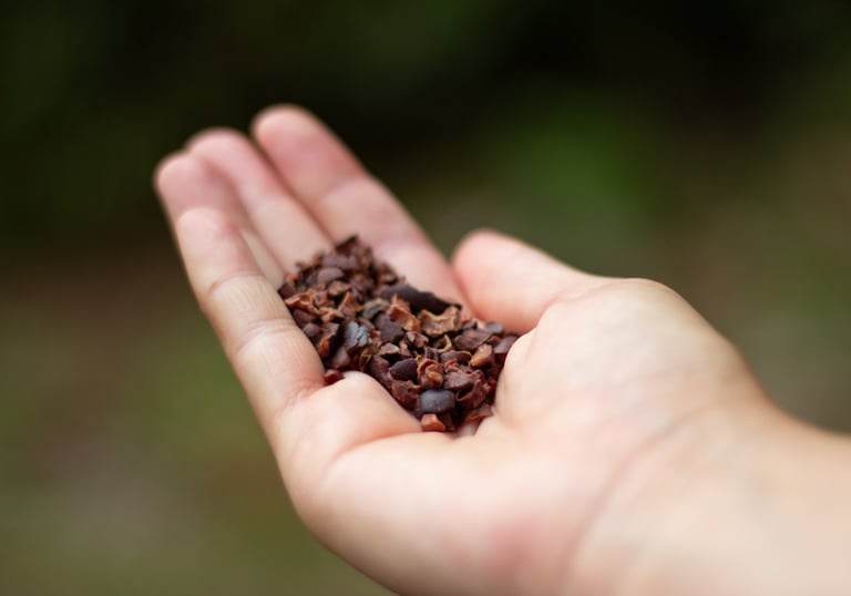 A person holding a handful of raw organic cacao nibs outdoors for a healthy superfood snack.
