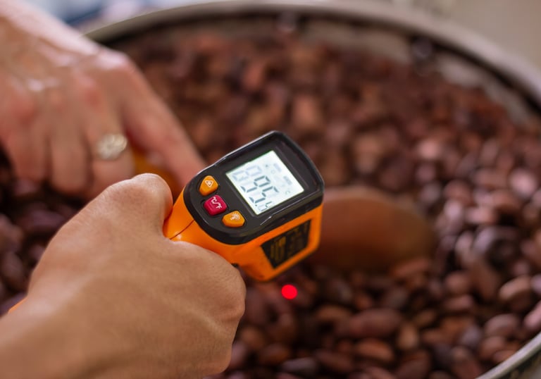 Using an infrared laser thermometer to check temperature of roasting cocoa beans.