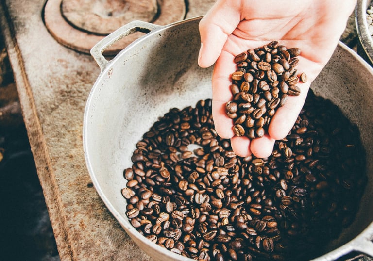 A hand holding freshly roasted dark coffee beans over a traditional metal roasting pot.
