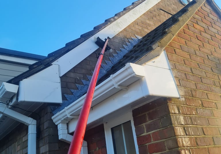 Window fed pole cleaning fascia