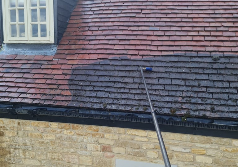 Roof cleaning