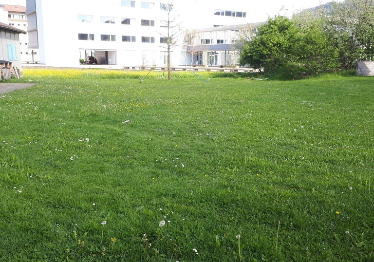 Wiese vor Pfadiheim Ägeri