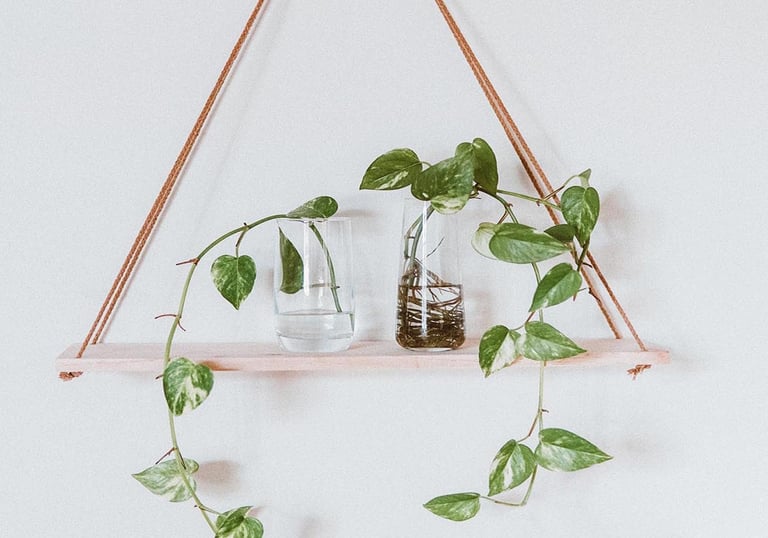 Basis Raumgestaltung