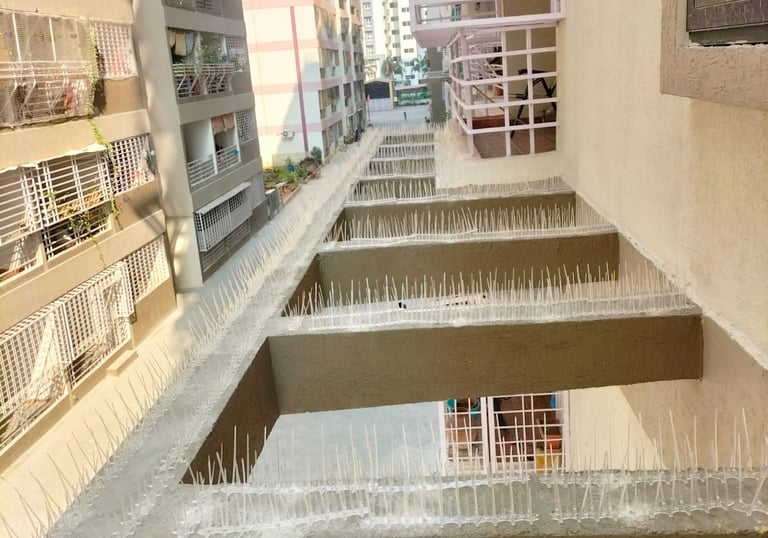bird spikes installation by arjilli safety nets