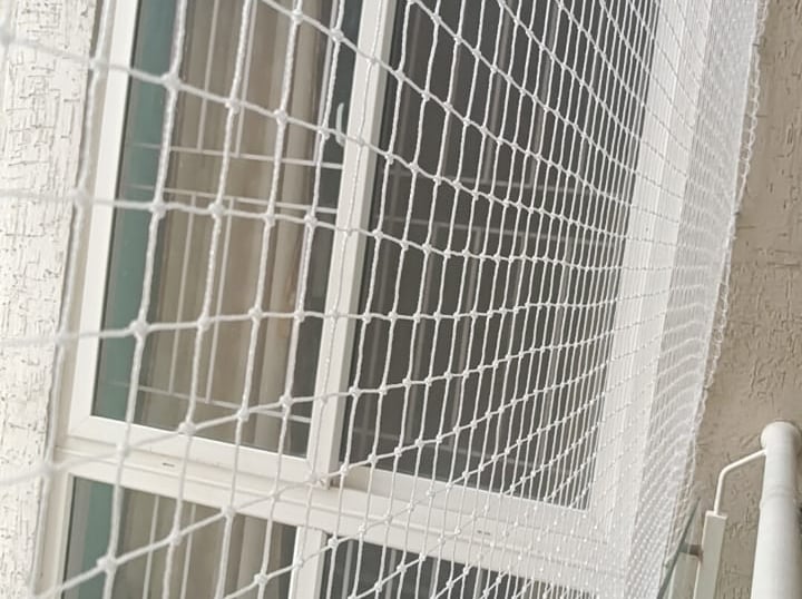 Wide shot of a modern apartment building in Anna Nagar with pigeon nets installed on all balconies.