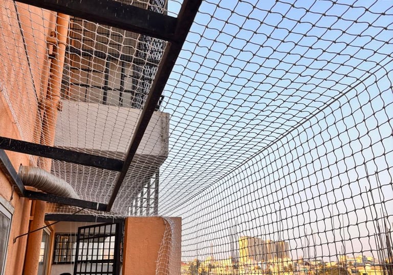 pigeon nets installation in pune by arjilli safety nets