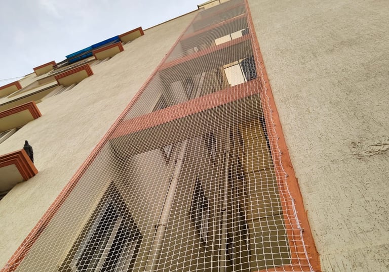 building pigeon nets in chennai