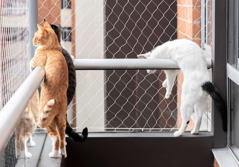 Pet Safety Nets installation