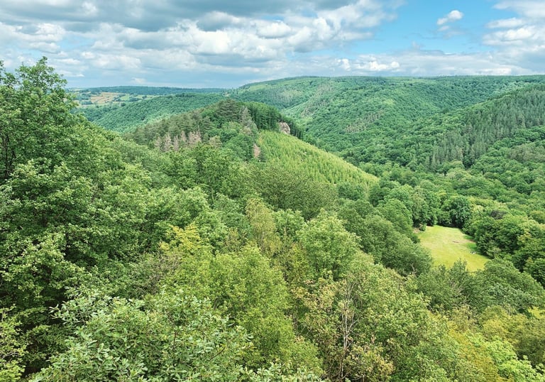 Ninglinspo, Trail, 30km