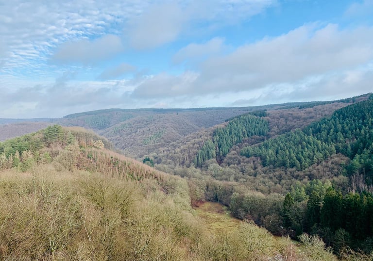 Ninglinspo, Trail, 15km
