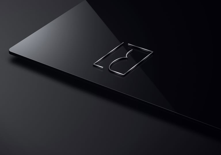 Laurent Bayot french designer