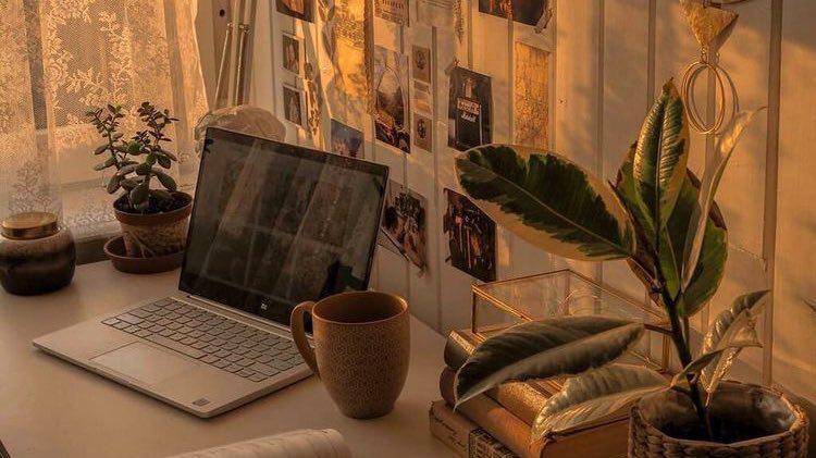 esquina de un escritorio con plantas, una taza y una computadora con los rayos del sol dorados entrando por la ventana