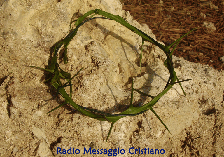 La corona di spine che Gesù portò. Nessuno ha amore più grande di questo: dare la propria vita