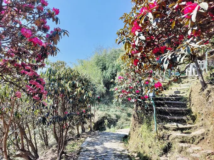 Okhrey Homestay