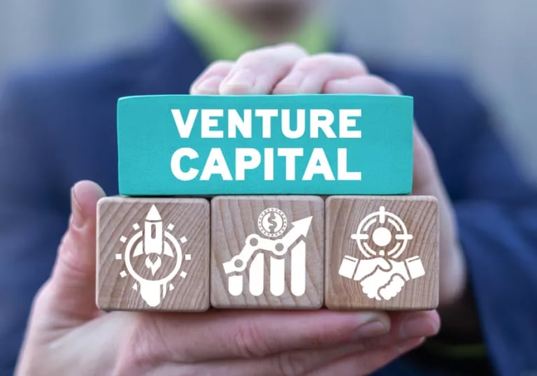 Venture Capital Investor