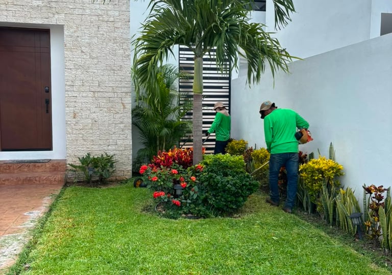 Asesoría para jardines en merida yucatan
