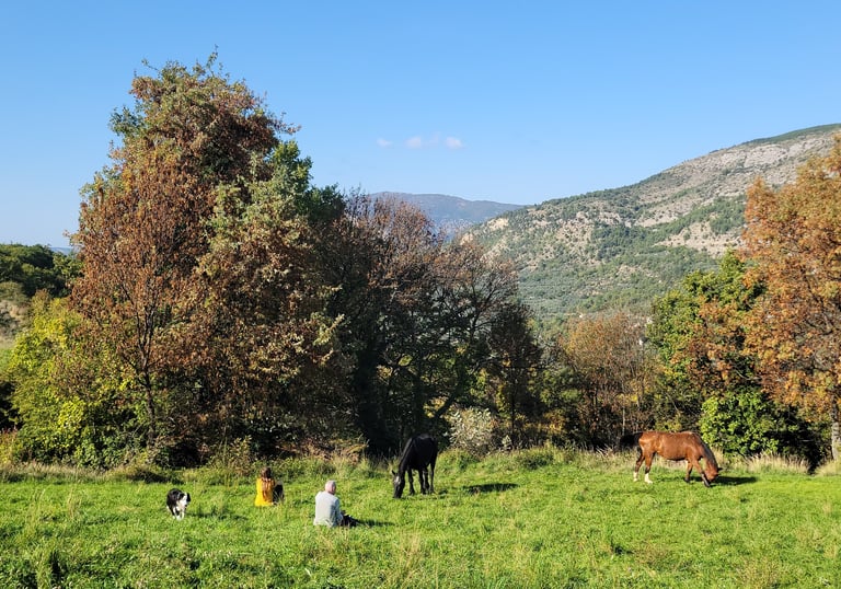 a group of people relaxing and sitting on a field with grazing horses