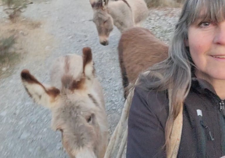 A woman takes a selfie with friendly donkeys, on a gravel path during an outdoor nature hike. 