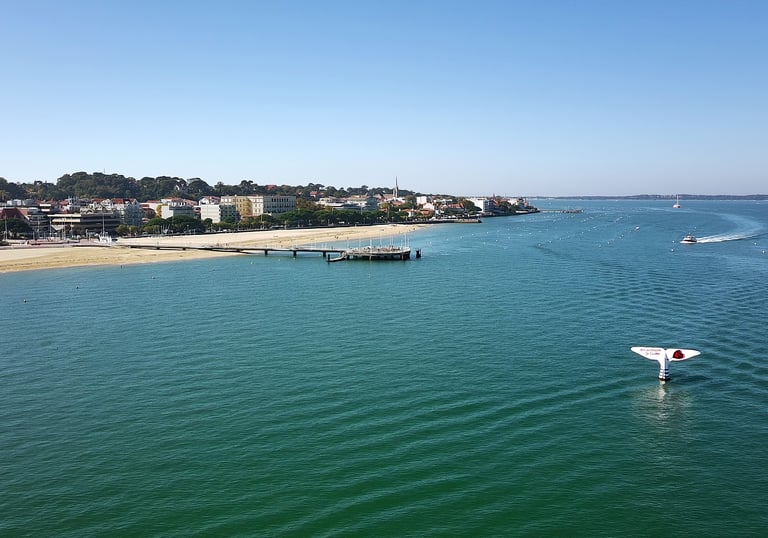 Vue aérienne de la baie d'Arcachon avec une sculpture de queue de baleine dans l'eau turquoise