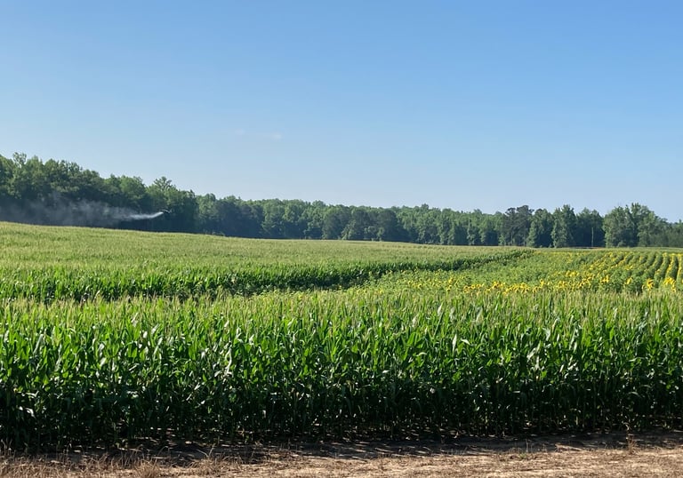 aerial crop protection application
