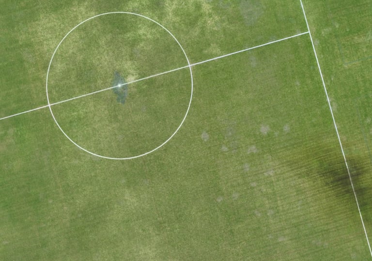 turfgrass offtype mapping