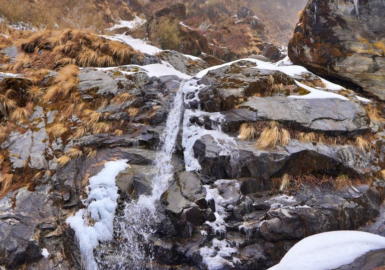 LACHUNG HOMESTAY