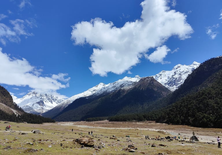 LACHUNG HOMESTAY
