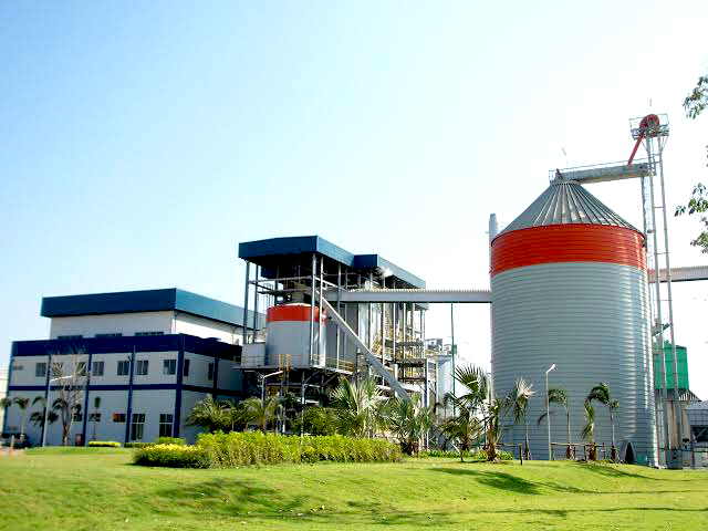 raw rice husk for biomass fuel