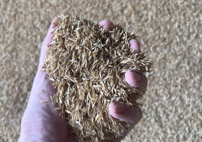 raw rice husk is organic fuel material