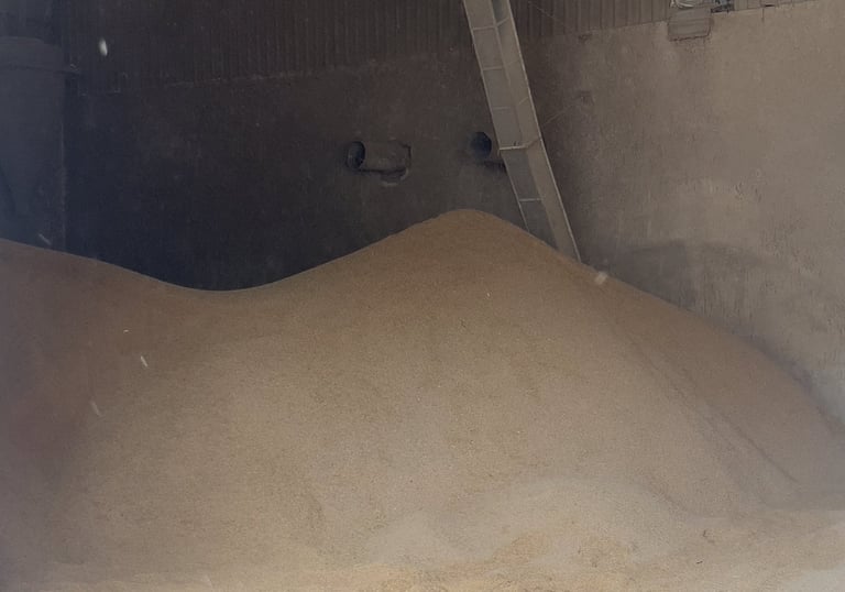 raw rice husk is unburned agricultural byproduct material