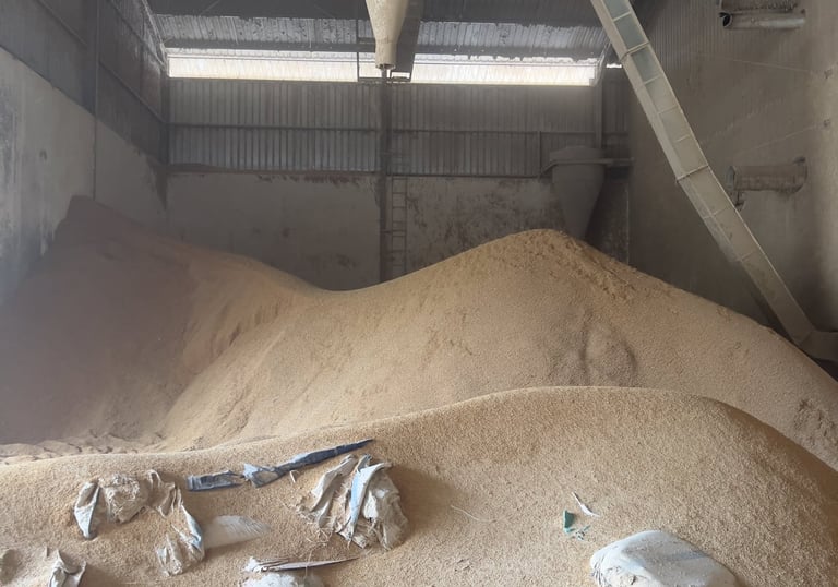 raw rice husk for soil-related application