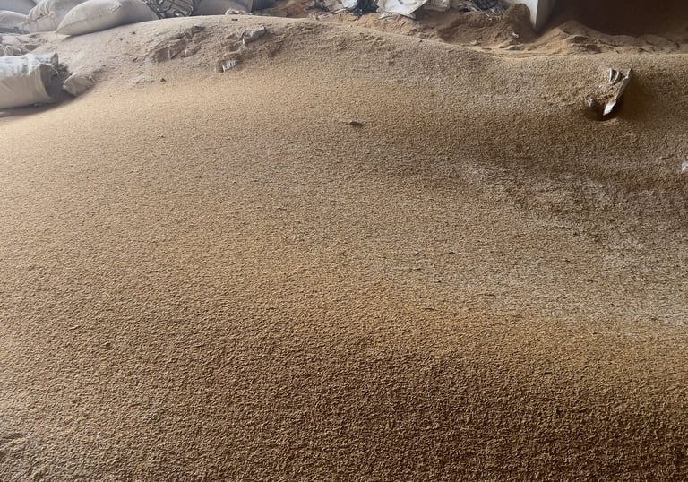 raw rice husk is an organic material agricultural byproduct