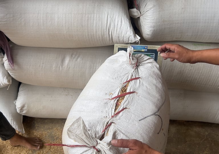 raw rice husk bulk inquiry for buyer needs